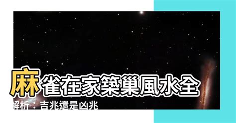 麻雀在家筑巢风水|麻雀築巢風水：提升家居運勢的秘密武器【麻雀築巢風水】 – 香港。